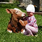 Smrek Jezierska