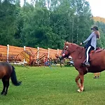Smrek *