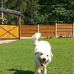 Dom wakacyjny Smrek *