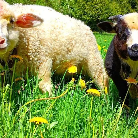 Дом отдыха Smrek