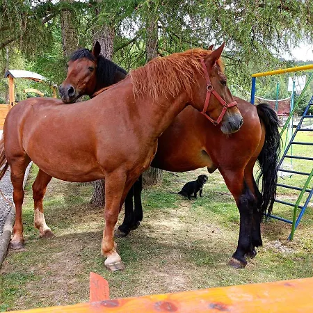 Smrek Езерско