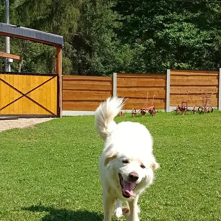 Hébergement de vacances Chata Smrek *