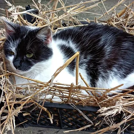 Smrek Дом отдыха *