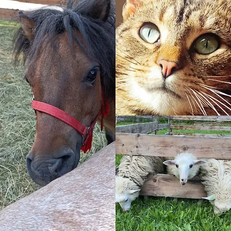 Дом отдыха Smrek *